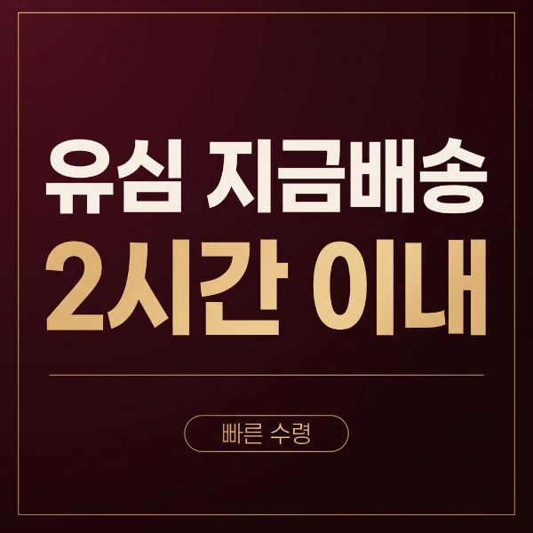 SK 선불폰 개통 순서