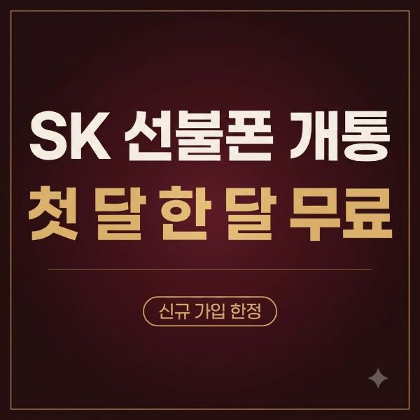 SK 선불폰 유심 구매